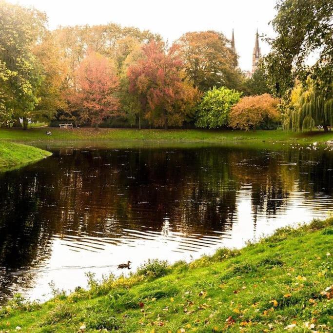 Cosy Appartement Met Tuin In Centrum Antwerpen Gratis Parking Free Parking! Екстер'єр фото